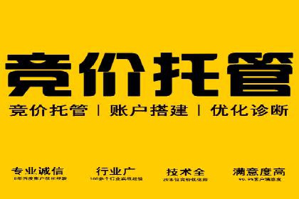 某某sem推广公司成功案例：如何快速提升品牌知名度